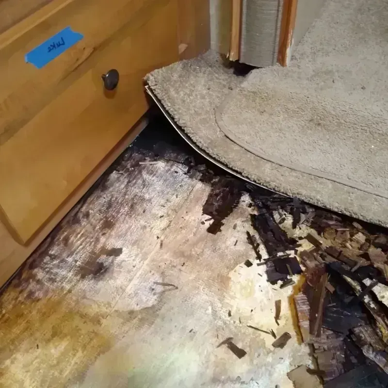 Wood Floor Water Damage in Jeff Davis County, TX